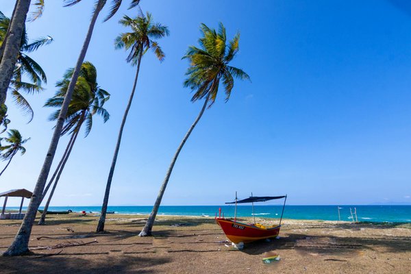 Circuit touristique en famille : comment bien le préparer